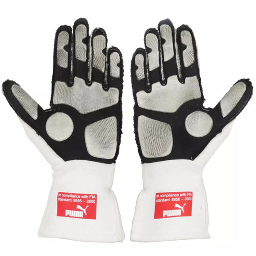 2010 Fernando Alonso F1 Race Gloves - Japanese GP