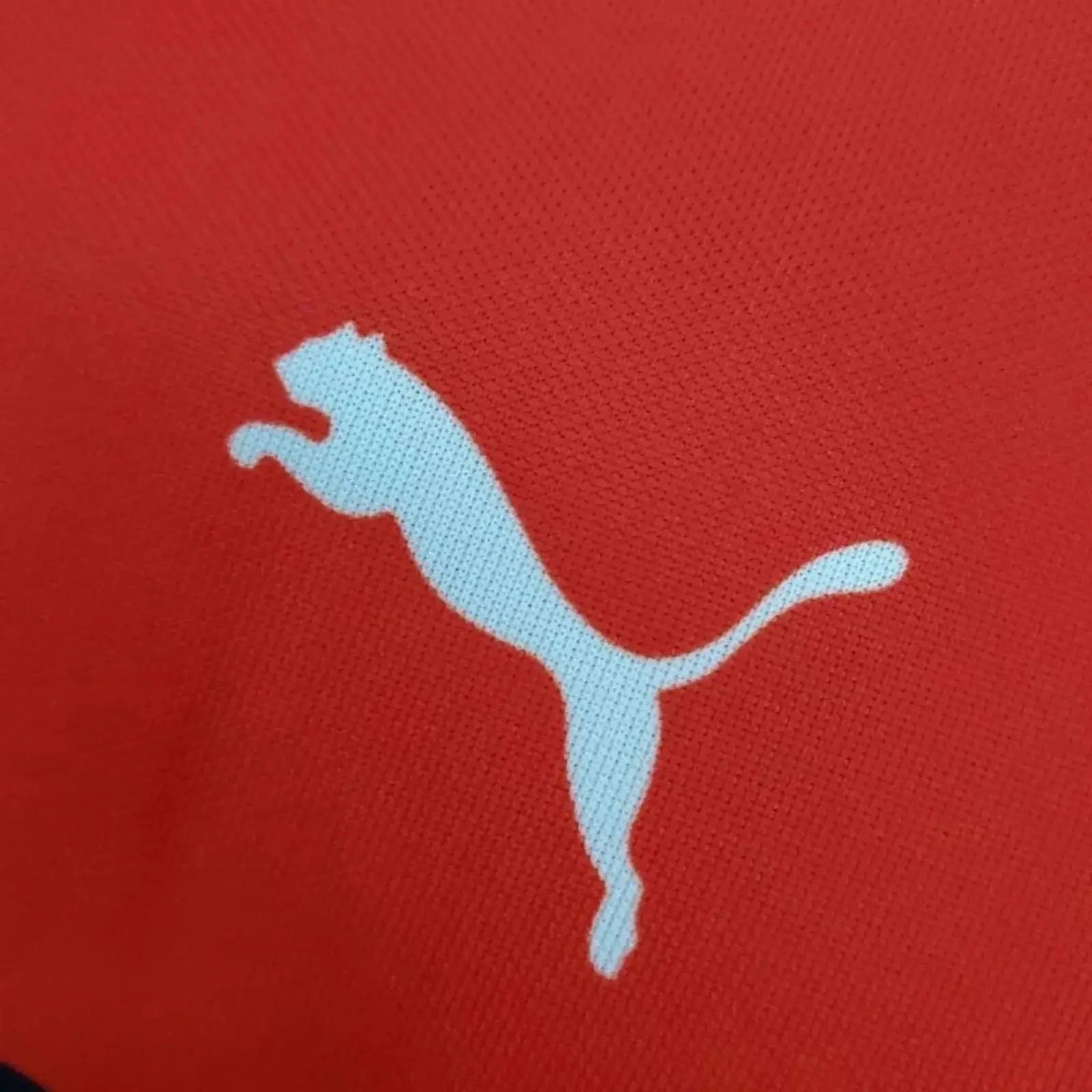 2022 New Ferrari Charles Leclecr F1 Racing T-Shirt